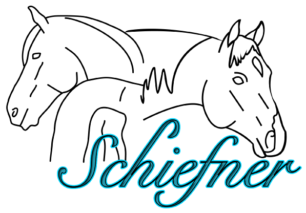 cristinaschiefner.de